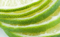 lapkod